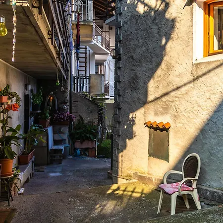 La Casa Di Amelia By World * Pisano